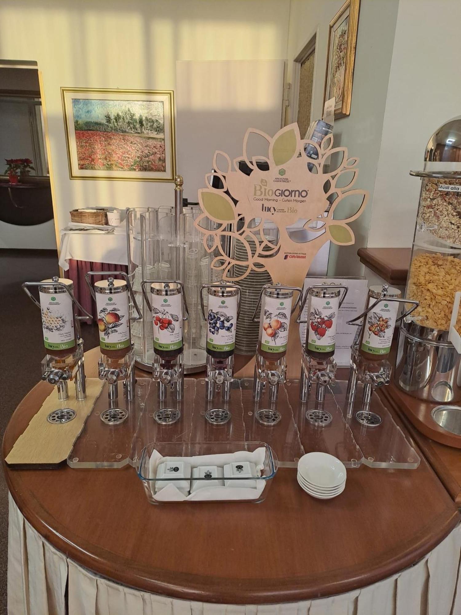 Hotel Internazionale 세르비냐노 델 프리울리 외부 사진